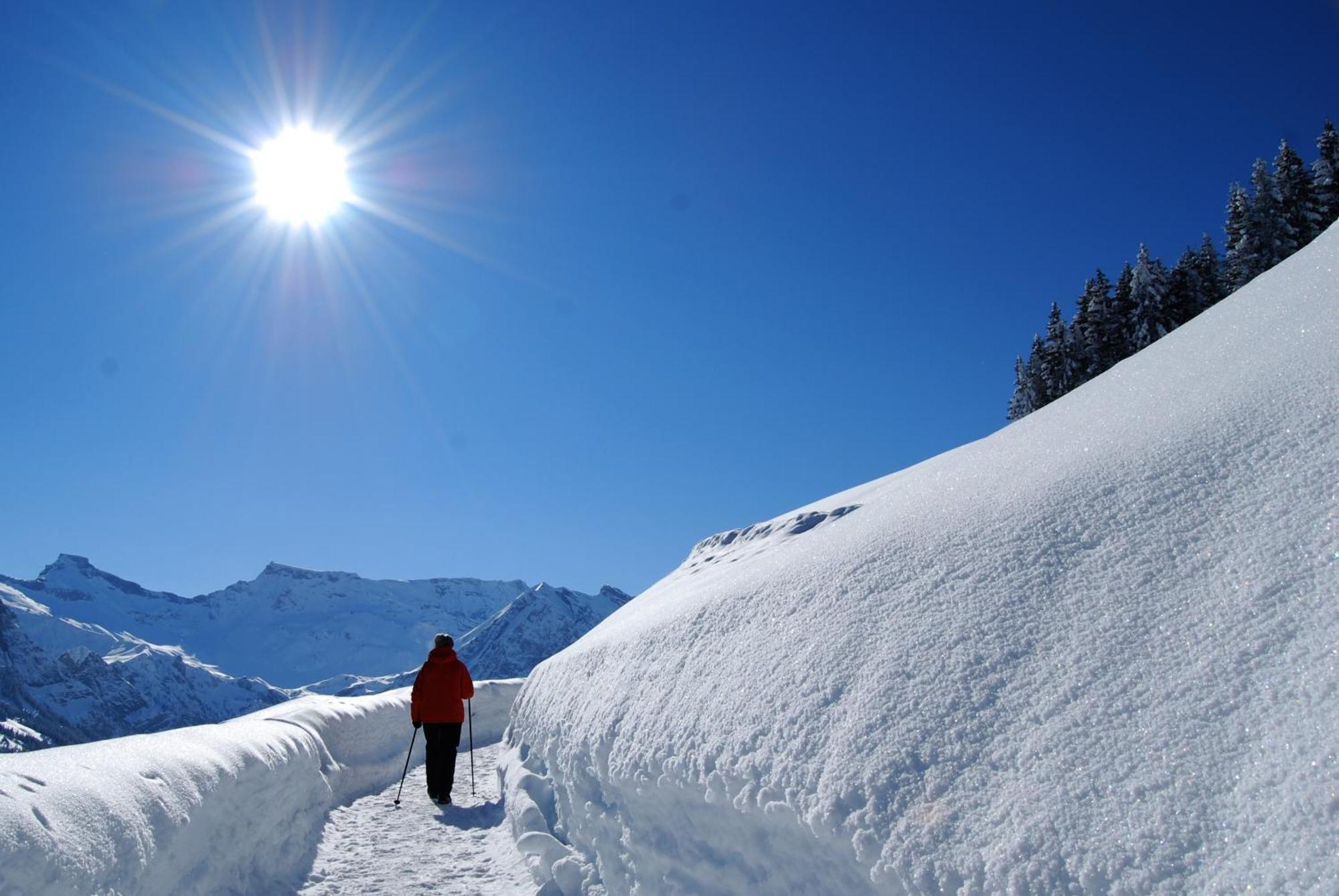 Bellevue Parkhotel & Spa - Relais & Chateaux Adelboden Exterior foto